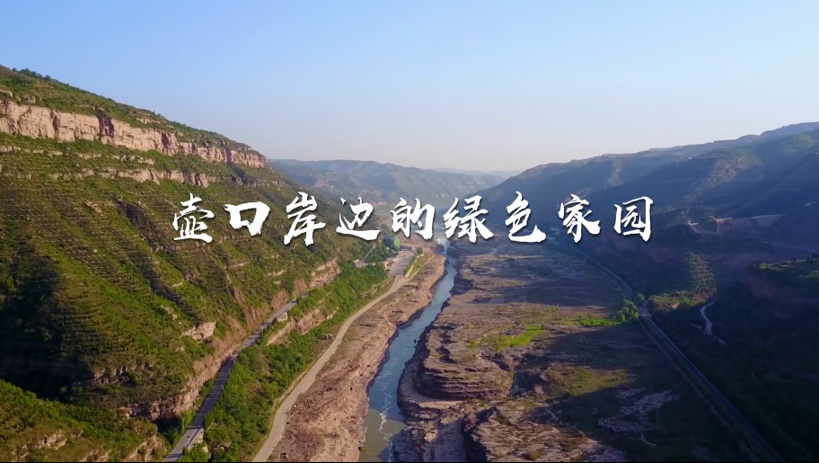 《壺口岸邊的綠色家園》