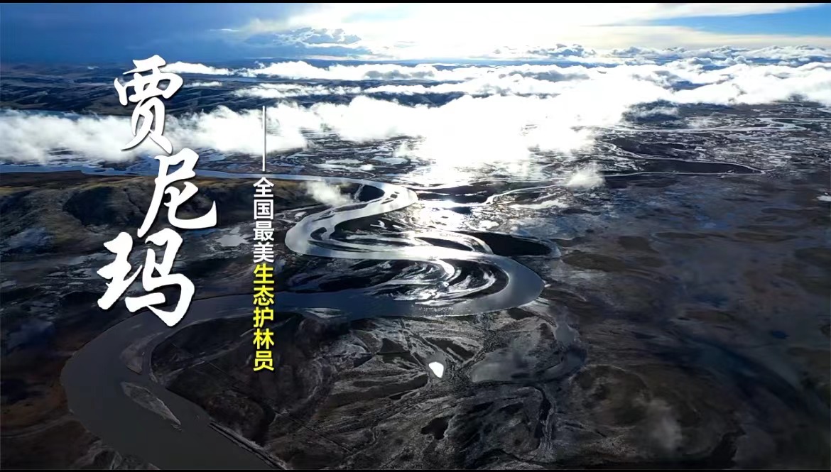 《全國最美生態護林員——賈尼瑪》