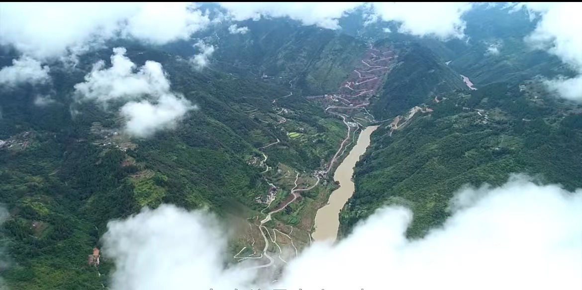 《根脈》