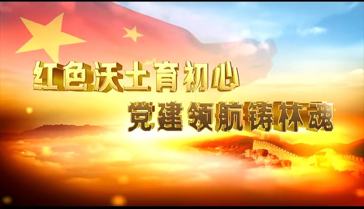 《紅色沃土育初心  黨建領航鑄林魂》