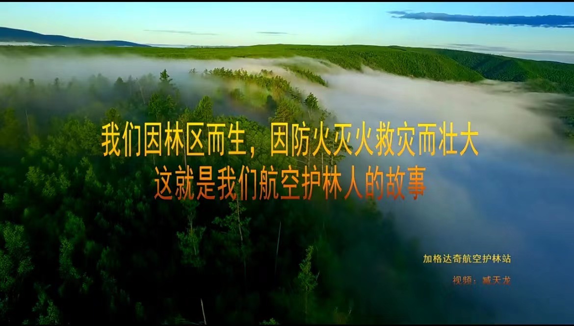 《航空護林人的故事》